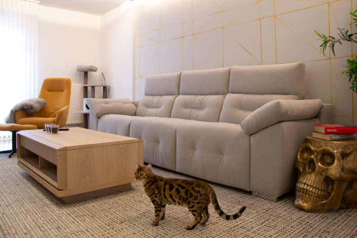 viv-BERNEDO-salón–(5)